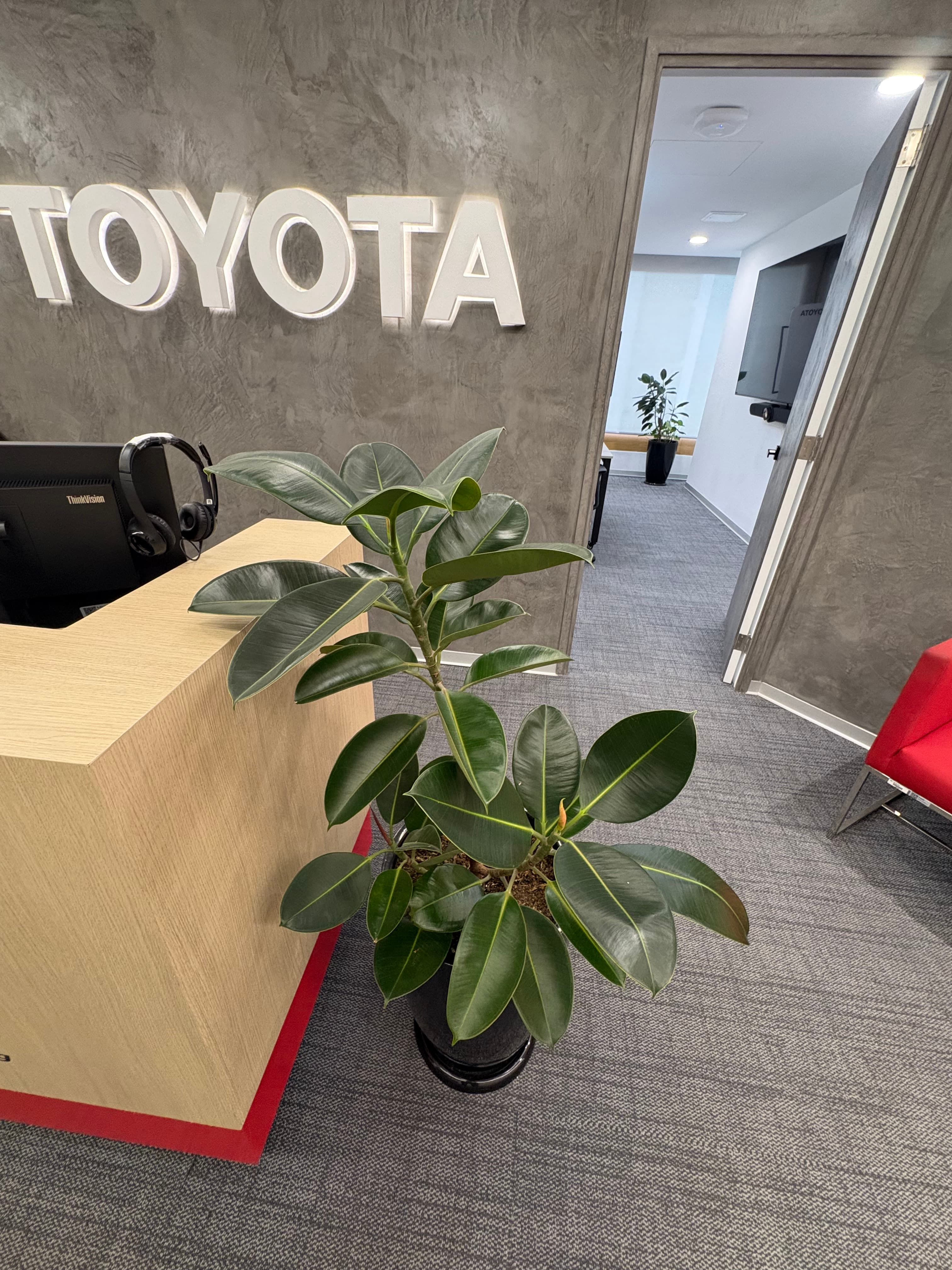 Toyota